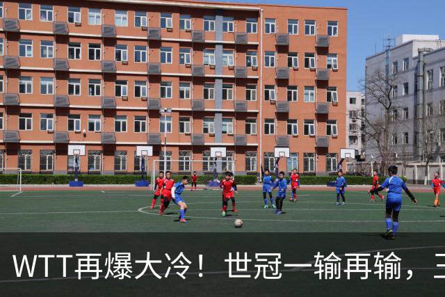 WTT再爆大冷！世冠一输再输，王楚钦确定回归，国乒似乎要变天了